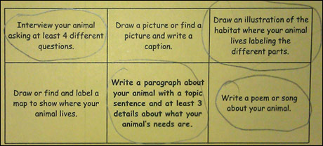 Sampling of options on an animal research project choice board